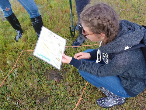 Leerling inventariseert planten in de Slufter