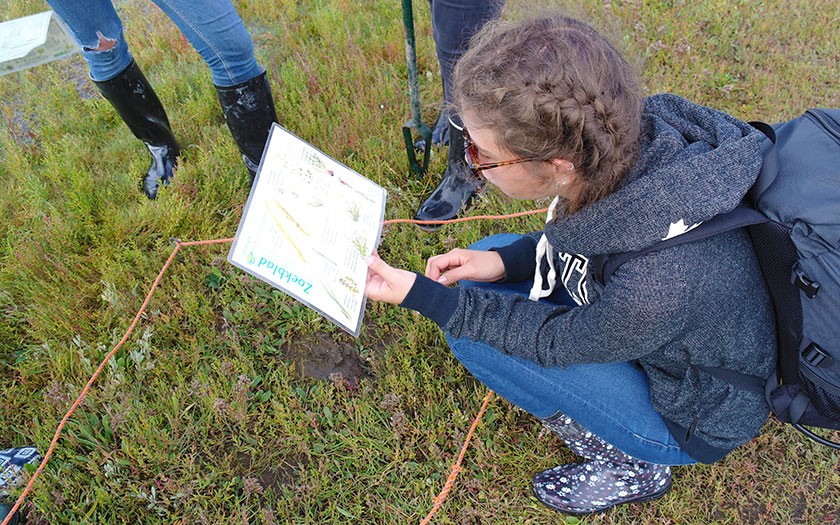 Leerling inventariseert planten in de Slufter