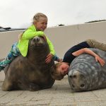 Kinderen liggen op zeehondenmodellen bij Ecomare