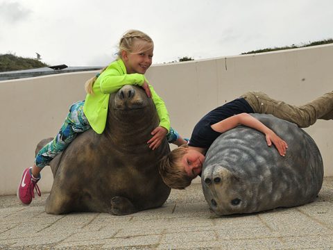 Kinderen liggen op zeehondenmodellen bij Ecomare
