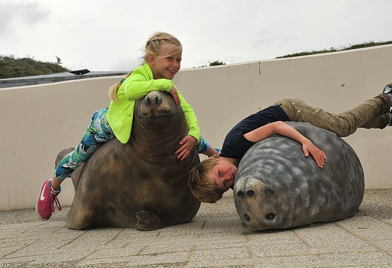 Kinderen liggen op zeehondenmodellen bij Ecomare