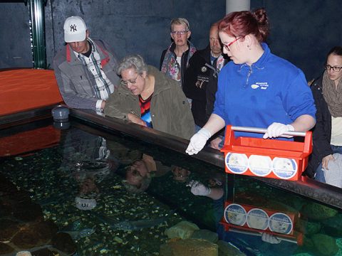 Nicolle loopt stage bij Ecomare in het Zeeaquarium