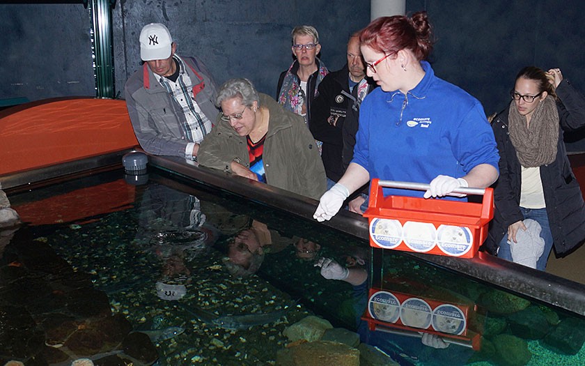 Nicolle loopt stage bij Ecomare in het Zeeaquarium