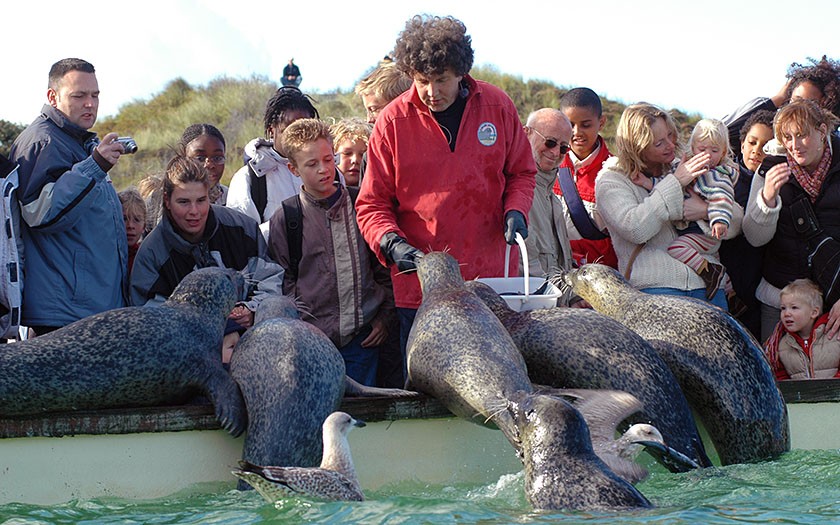 Henk Brugge, icoon van Ecomare, voert zeehonden bij Ecomare