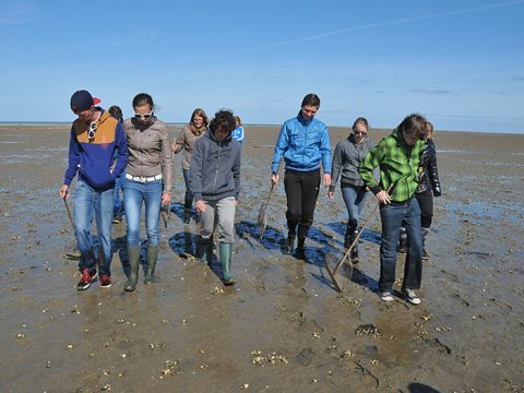 Leerlingen lopen over het wad