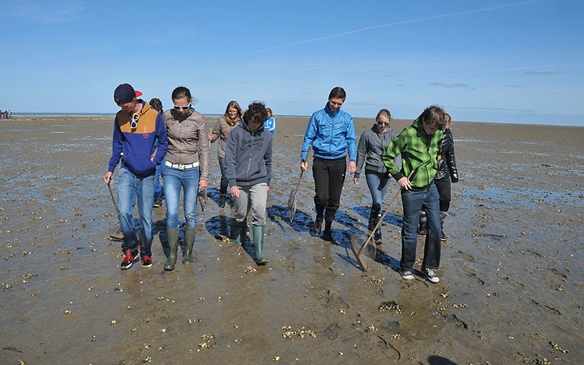 Leerlingen lopen over het wad