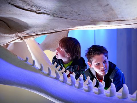 Jongens kijken naar potvisskelet in de walviszaal van Ecomare © Mike Bink fotografie