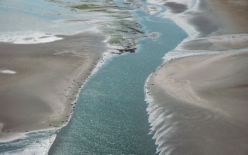 Channel with seals lying on the banks (© Ecomare)