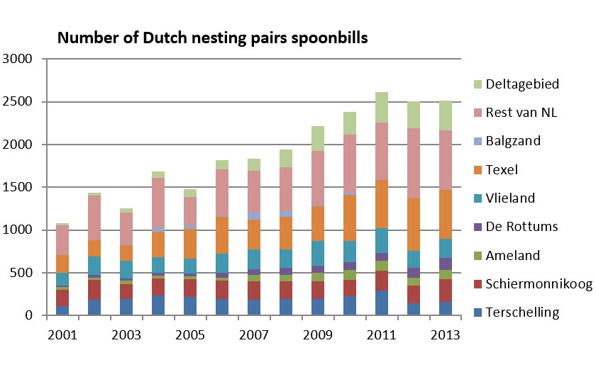 Number of nesting pairs of spoonbills in NL 2001-2013 (© SOVON)