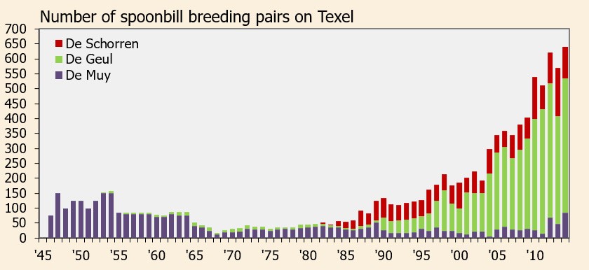 Number of nesting pairs of spoonbills on Texel (© Ecomare)