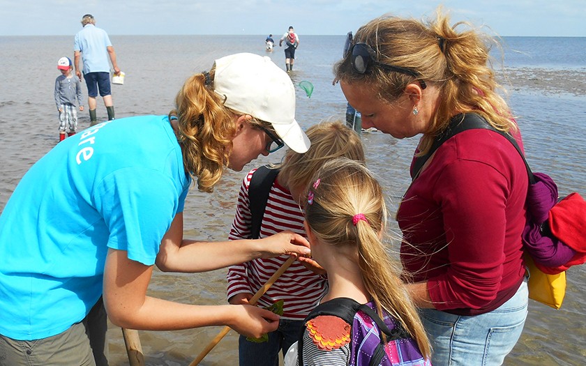 Excursie van Ecomare op het wad