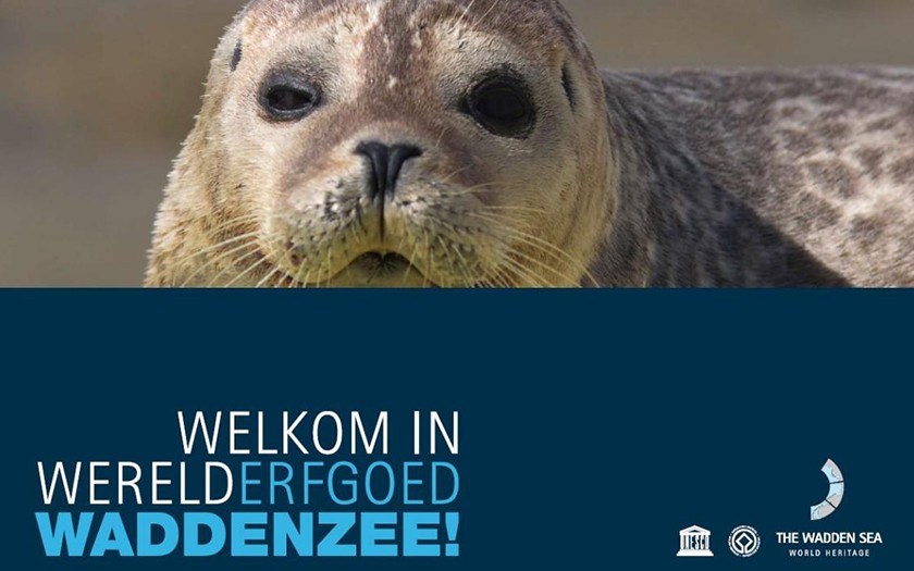 Banner Waddenzee Werelderfgoed