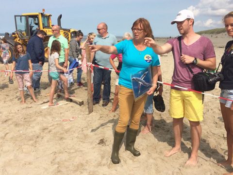 Ecomare geeft tekst en uitleg bij walvis