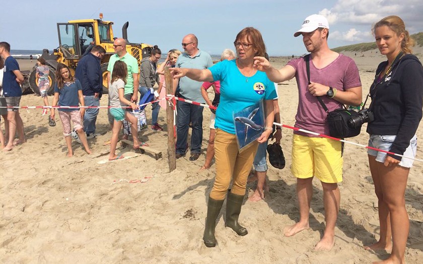 Ecomare geeft tekst en uitleg bij walvis