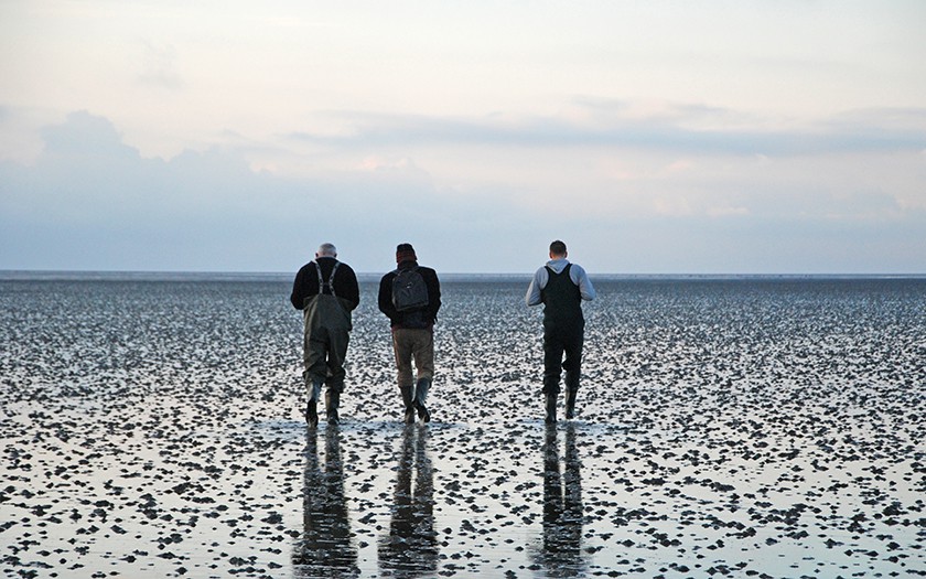 Wadlopers op het wad