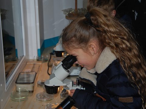 Meisje kijkt door een microscoop in het zeelab