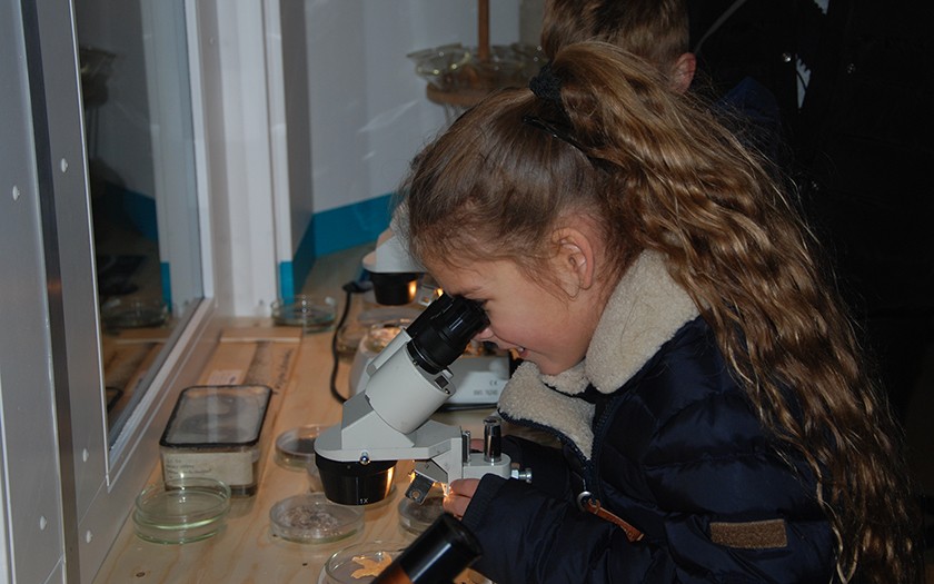 Meisje kijkt door een microscoop in het zeelab