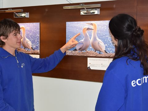 Fotograaf Mick vertelt over het project op Helgoland