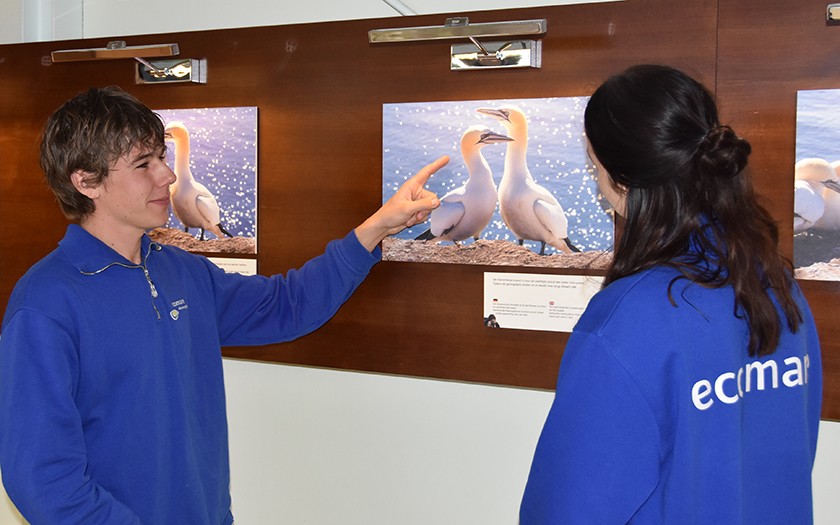 Fotograaf Mick vertelt over het project op Helgoland