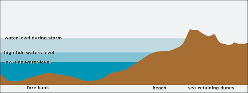 Profile of a sandy coast