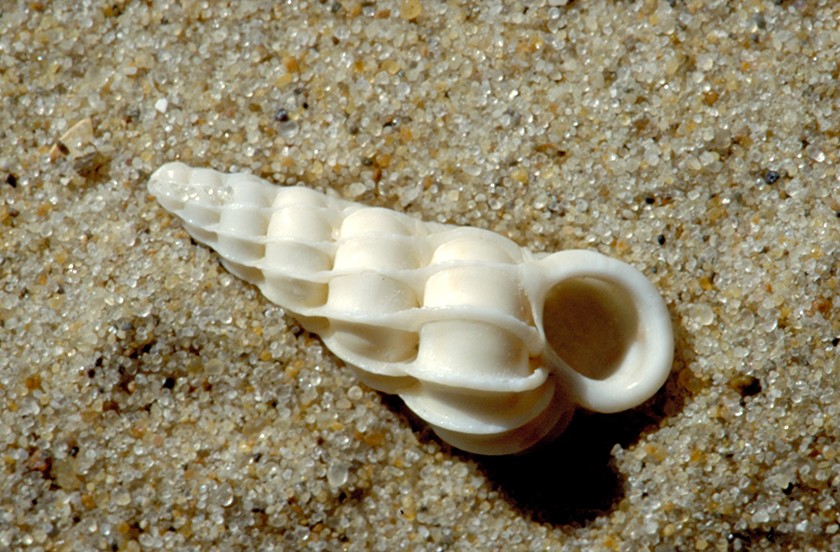 Wenteltrapje op het strand