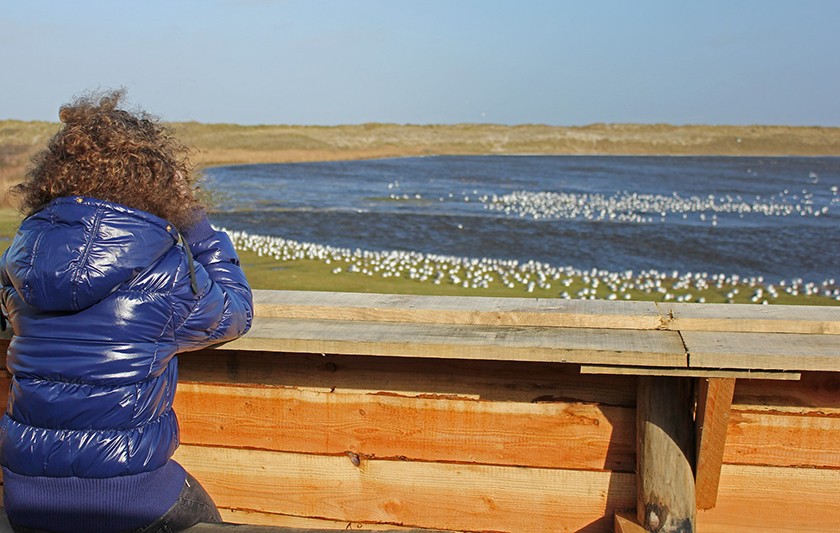 Vrouw met verrekijker kijkt uit over waterplas