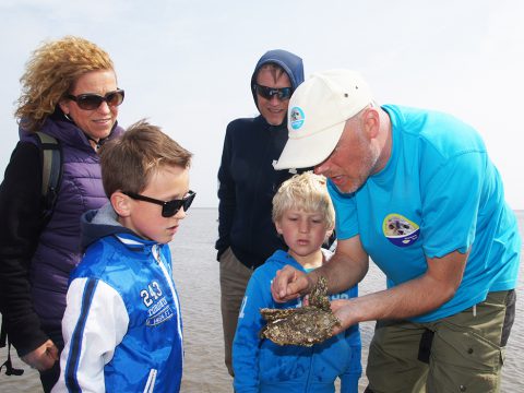 Ecomare-excursie op het wad