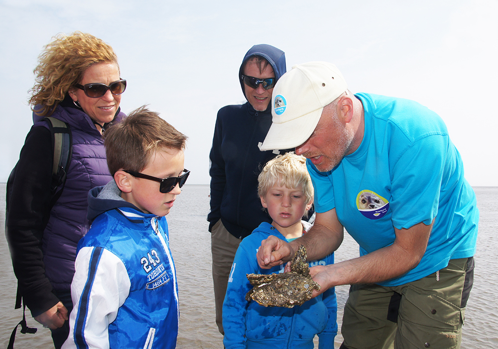 Ecomare-excursie op het wad