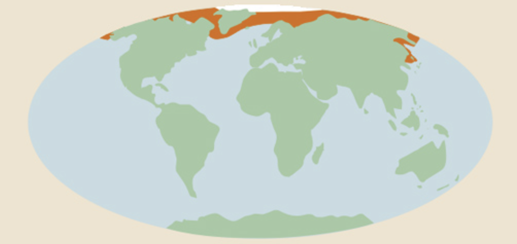 Distribution of ringed seals