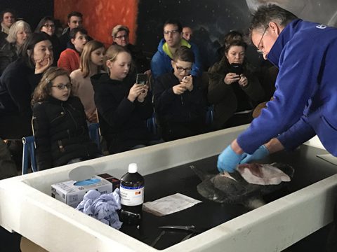 Pierre snijdt vis in demonstratie