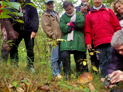 Paddenstoelenexcursie - mensen kijken belangstellend naar een paddenstoel