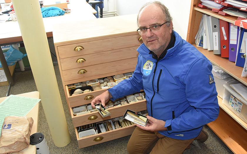 Arthur bij ladenkast vol schelpen