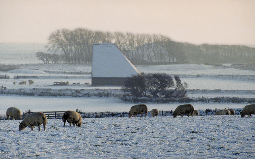 Schapenboet op de Hoge berg in de sneeuw