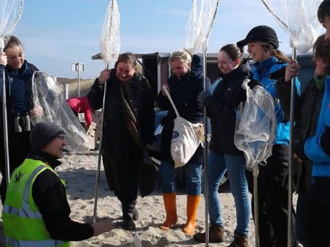 Dierverzorgers luisteren naar instructie op strand