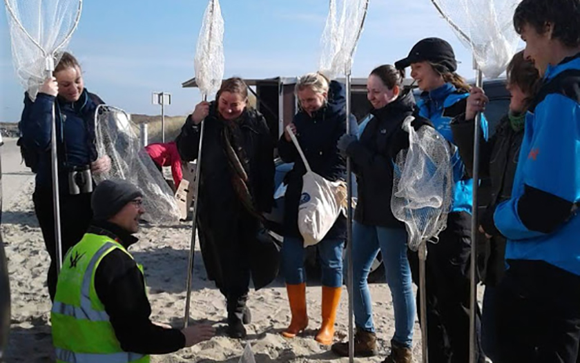 Dierverzorgers luisteren naar instructie op strand