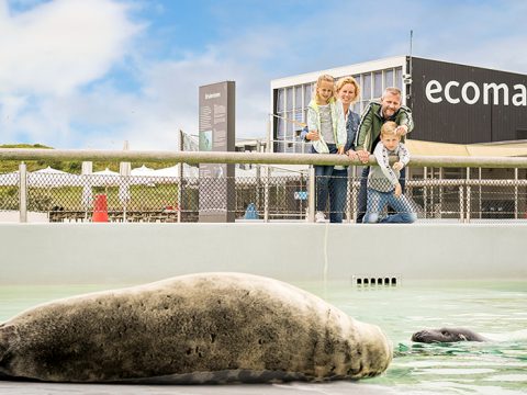 Familie met kinderen tijdens activiteiten in de vakantie bij Ecomare op Texel