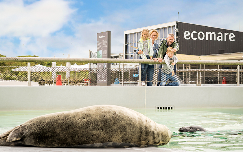 Familie met kinderen tijdens activiteiten in de vakantie bij Ecomare op Texel