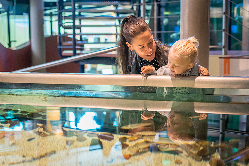 Zeeaquarium-Ecomare op Texel