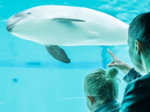 Koop je tickets voor Ecomare Texel
