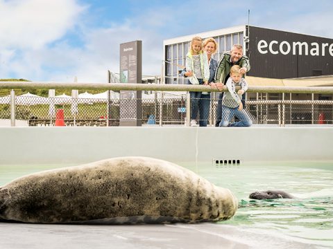 Openingstijden voor Ecomare Texel