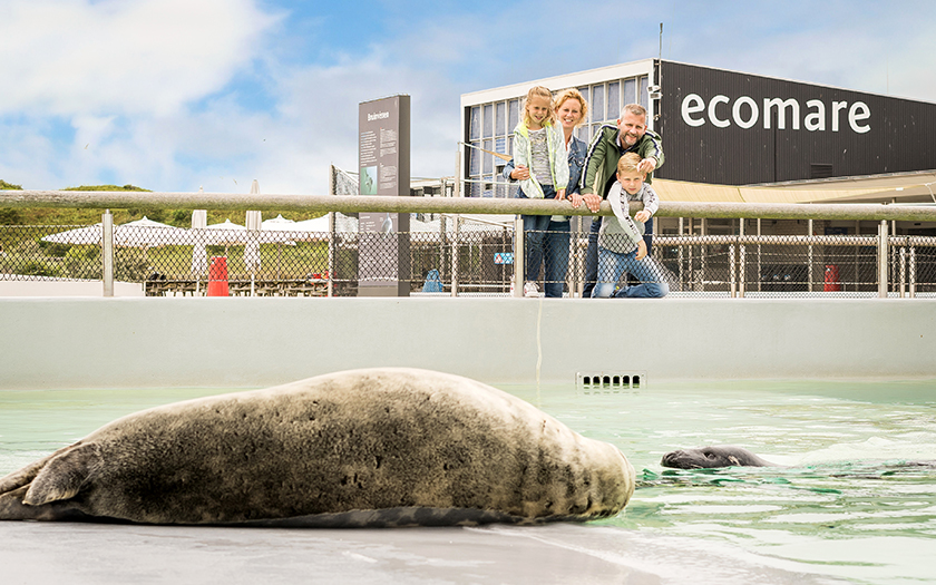 Openingstijden voor Ecomare Texel