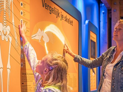 Tentoonstellingen bij Ecomare op Texel