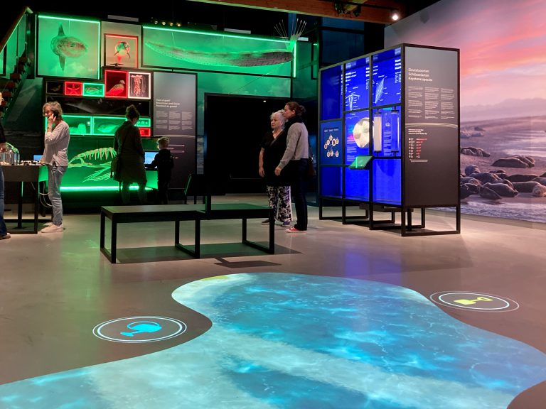 Wonderlijk Wad: een tentoonstelling over Unesco Werelderfgoed Waddenzee