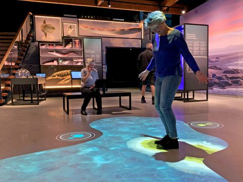 Interactief vloerspel-tentoonstelling Wonderlijk Wad-met bezoek