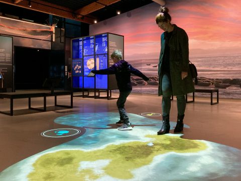 Interactief vloerspel-tentoonstelling Wonderlijk Wad-met bezoek