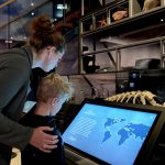 Wonderlijk Wad: een tentoonstelling over Unesco Werelderfgoed Waddenzee