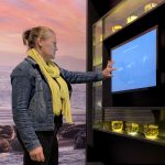 Wonderlijk Wad: een tentoonstelling over Unesco Werelderfgoed Waddenzee