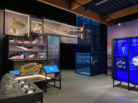 Overzicht-tentoonstelling Wonderlijk Wad-zonder bezoek