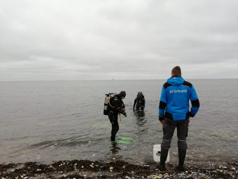 De duik wordt voorbereid (c) Ecomare Texel