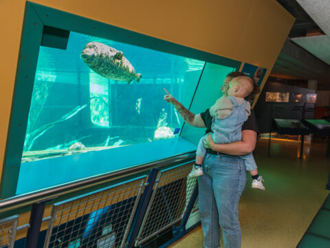 Herfstvakantie bij Ecomare - kinderen bij het Zeeaquarium